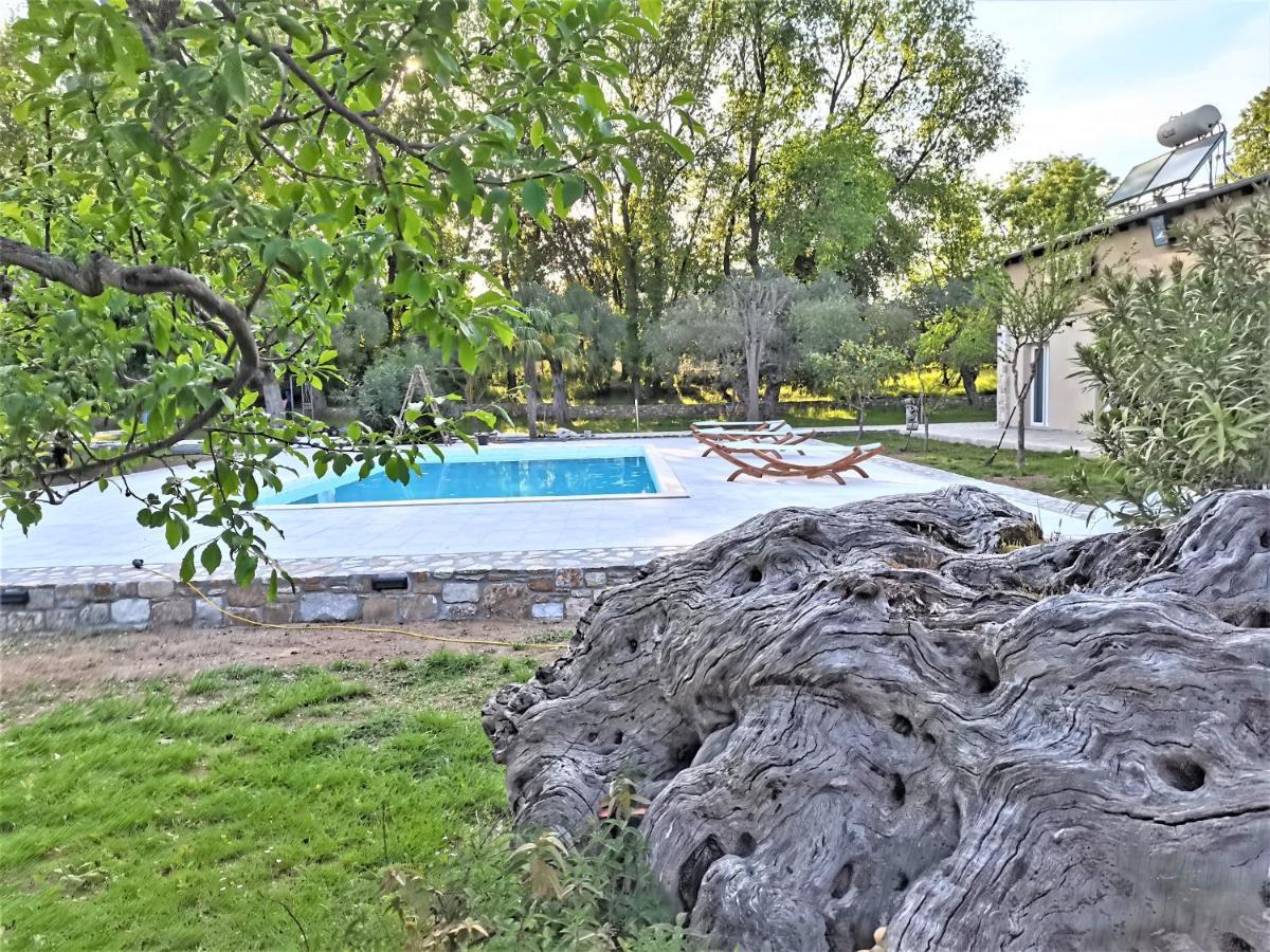 Natura Bungalows-Villa 萨索斯 外观 照片
